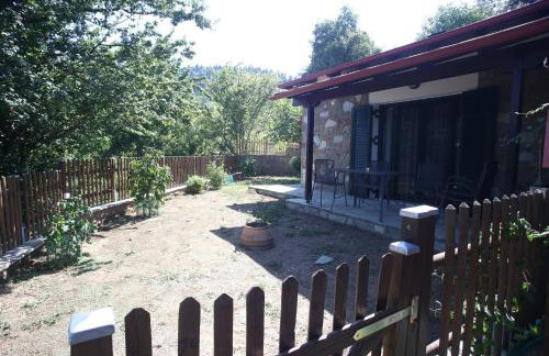 Boletus MushROOM - Foto 23