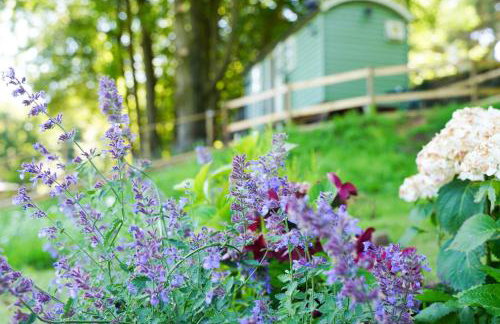 Lavender Retreat with Private Hot Tub - Photo 18