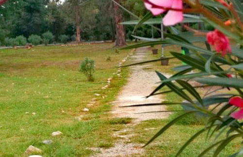 Appartement au bord de mer - Foto 20