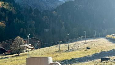 Grand appartement rénové de 110m2 aux Contamines - Photo 2