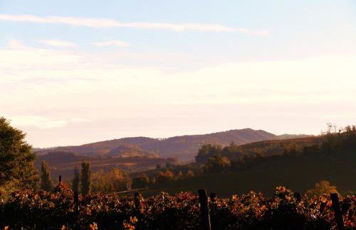 Ciabòt Taricchi - Foto 30