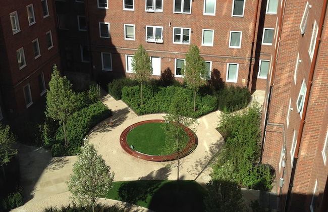 Student Only OLIB - Foto 31