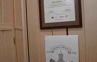 Agroturystyka Willa Ola - Foto 10