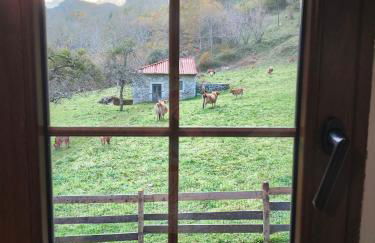 La Molnera - Foto 14