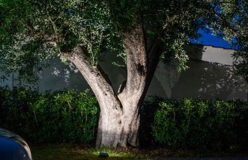 Casa Palinuro Vacanze fronte spiaggia - Photo 62