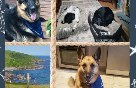 dog friendly nancecliff cottages - Foto 43