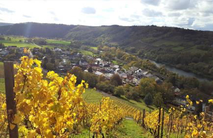 Zur alten Rebe Ferienhaus und Weingut - Foto 45