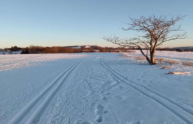 Chalet in Ore Mountains Near Ski Slopes - Foto 33