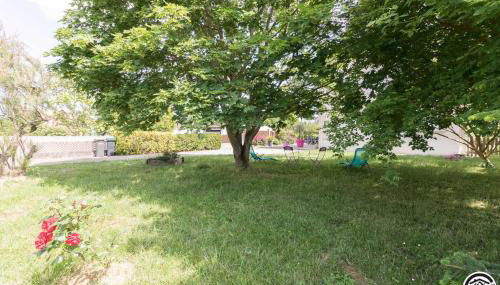 Les hortensias - Foto 2