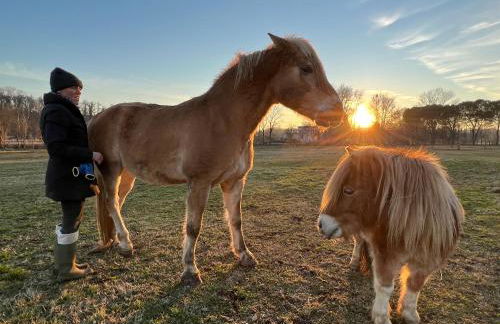 Agriturismo La Montina - Foto 38