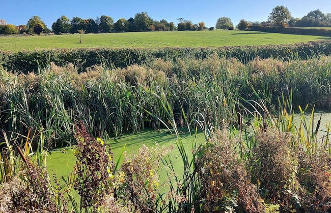 Chatterley House - Foto 56