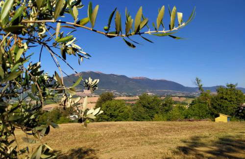 Agriturismo Il Colle Del Contadino - Foto 23