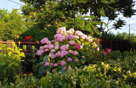 Apartment Nina - Foto 24