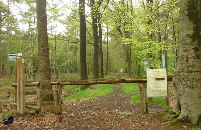 Quiet Cottage near Woods - Photo 19