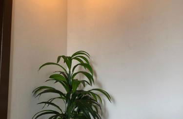 Casa Iririú · Casa exclusiva no terreno com jardim - Photo 28