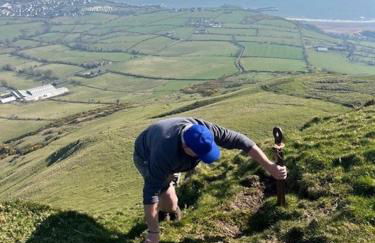 Tavnaghoney Cottages - Foto 2