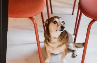 Vicolo Al Castello - Langhe e Monferrato Suites - Foto 28