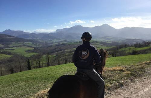 Agriturismo Colle del Lupo - Foto 29