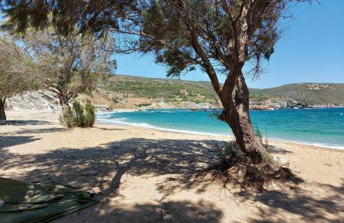 Seagulls - Within walking distance from sea! - Foto 44