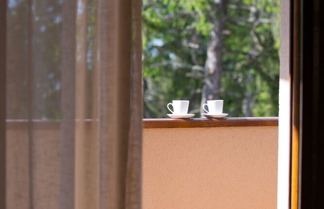 Apartmani Bijelic - Photo 24