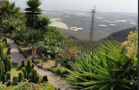 Finca Aurora quiet holiday flat with pool and great mountain and sea views - Foto 16