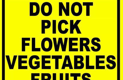 Unwind Island - Photo 33