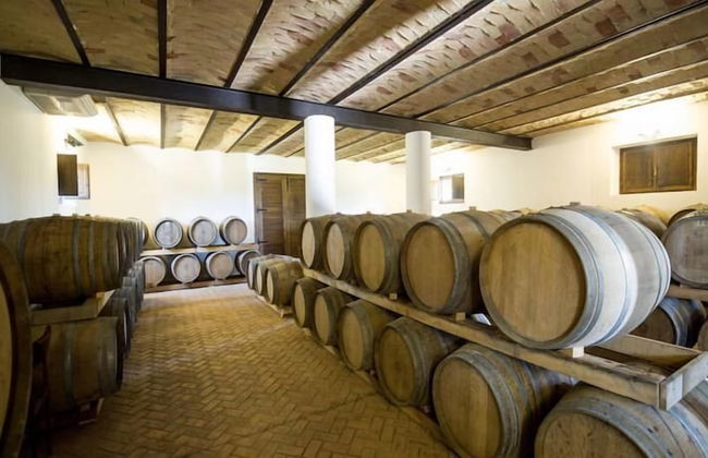 Masseria Ciavolich - Foto 27