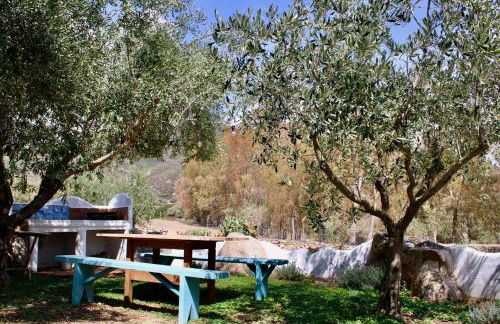 Domo Galàna - Foto 44