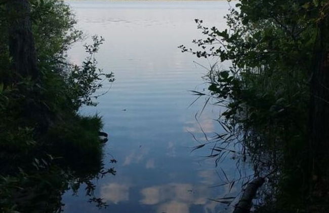 Holiday Home Werder/havel - Foto 9