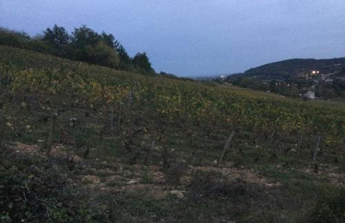 Savigny view - Foto 28