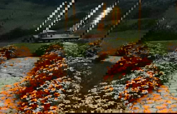 flor da serra cabanas charme e altitude - Foto 11