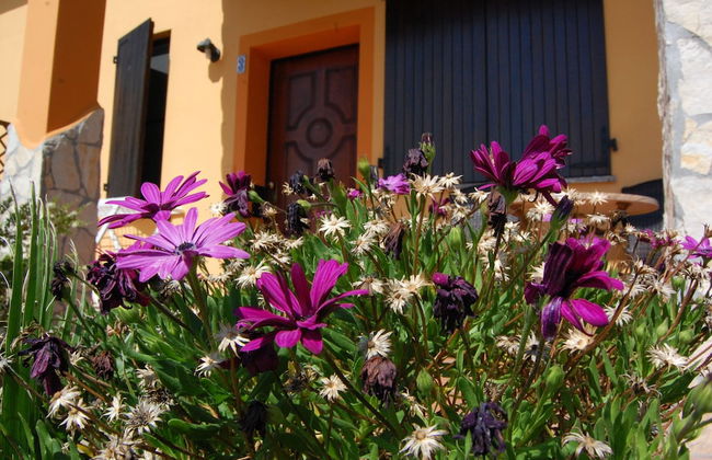 Agriturismo I Vigneti - Foto 15