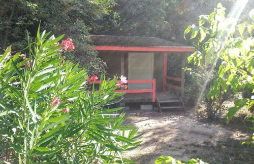 Chalet charmant à Saint-Jean-du-Gard - Foto 13