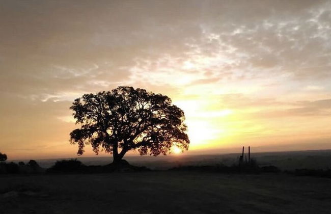 Masia de Queralt - Foto 20