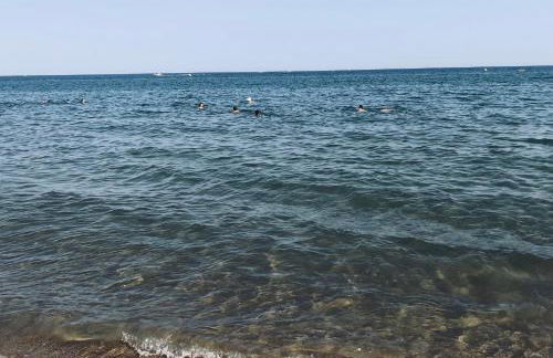 Pavillon les Jardins de la Plage - Photo 6