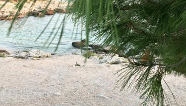 Apartmani Silence - Foto 5