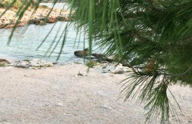 Apartmani Silence - Foto 5