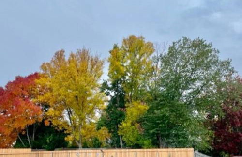 Good Vibes Portland Home - 4 Wonderful Seasons - Foto 38