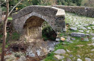 Panthea Residence - Photo 39