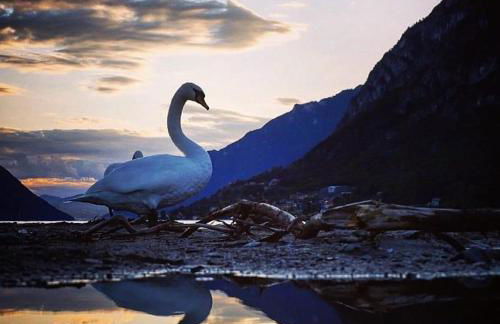 Il Giardino di Lilly - Foto 31