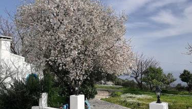 Studios Ioanna Limnionas Samos - Foto 5