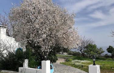 Studios Ioanna Limnionas Samos - Foto 5