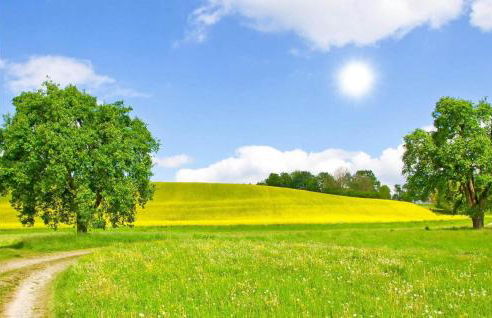 Amazing Home In Krems Iiwarderbrück - Foto 30