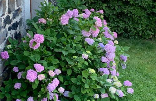 Ferme restaurée avec jardin clos et terrasse, proche Puy en Velay - FR-1-582-271 - Foto 31