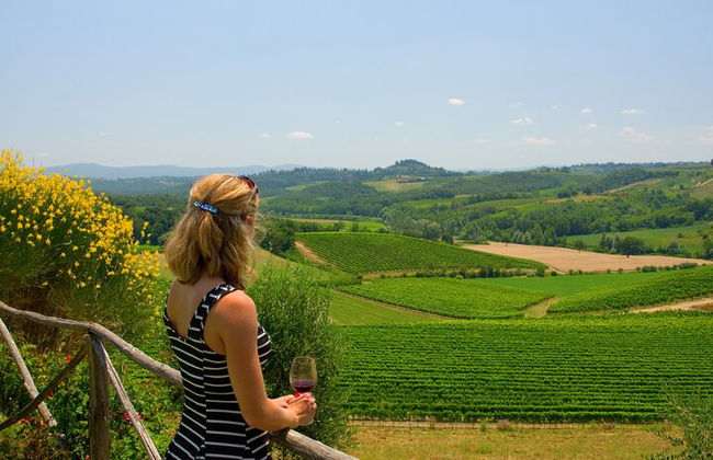 Discover the wine producers of Emilia Romagna - Photo 1
