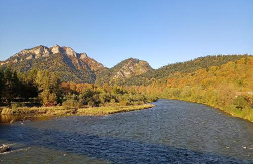 Hortensjowy Zakątek w Pieninach - Foto 37