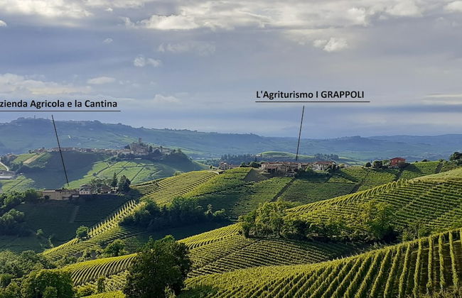 Agriturismo i Grappoli - Photo 31