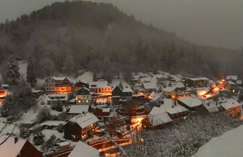 "Altes Haus" am Kurpark in den Bergen - Foto 26
