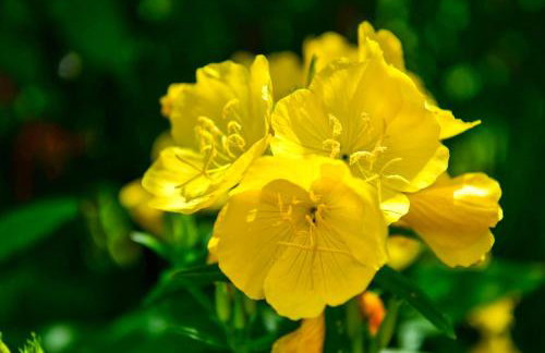 Apartman PLUM PLITVICE - Foto 47