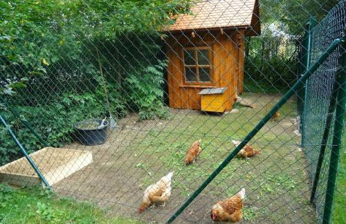 Holiday farm Hohe Drei Zinnen - Foto 4